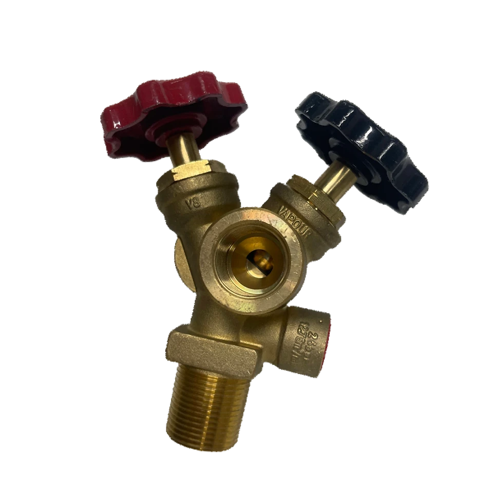 LUZHEN LPG Cylinder Dual Valve With Pressure Relief Device For 48kg Cylinder suppliers